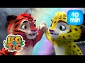 Leo & Tig - O mais precioso e mais episodios de Leo e Tig | Desenhos infantil 🐯🦁