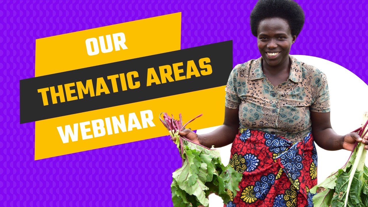 Our thematic areas webinar