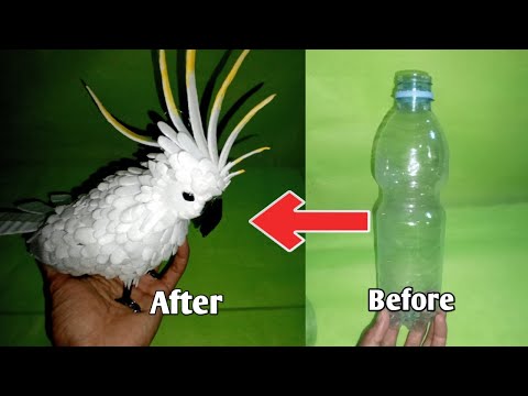 Video: Membuat burung beo dari botol plastik