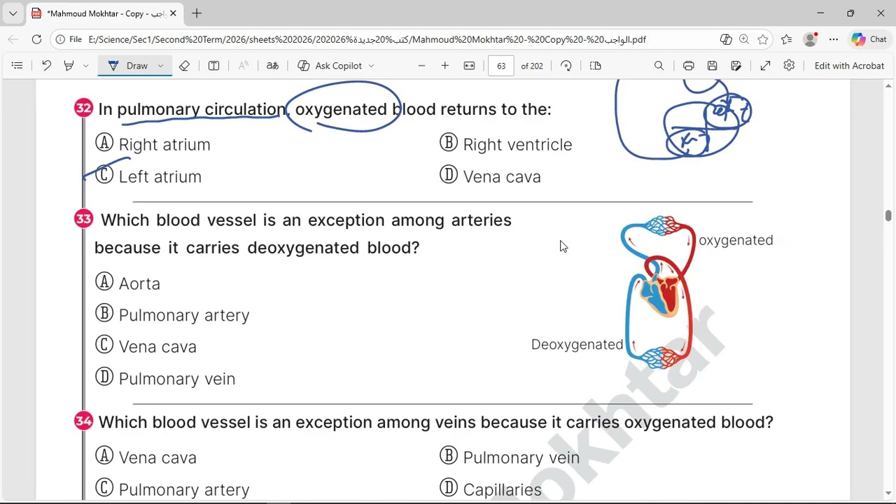 HW 3 Lesson 2 part 1