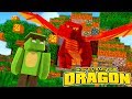 HOW TO TRAIN YOUR DRAGON #2 - WE FOUND A HUGE DRAGON!