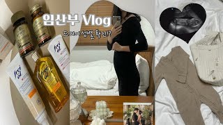 VLOG | 임신 15~16주 차. 성별 공개! 딸일까 아들일까??. 2차기형아검사. 모하 방문. 태아보험 공부. 주수사진 남기기