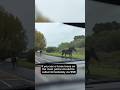 Loose horses loose on the road #dashcam #dashcams #horses