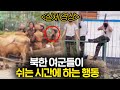 (몰래 찍어 온 실제 영상) 북한 여군들이 근무 중 하는 놀라운 행동들