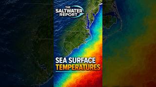 Sea Surface Temperatures. Big Changes!