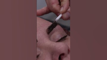 Brow Wax & Tint - Glenmore Park