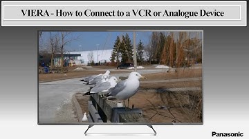 Panasonic - Television - Function - How to Connect to a VCR or Analogue device.
