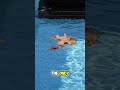 Beatbot Sora 70: The ALL-IN-ONE Pool Cleaner You NEED!
