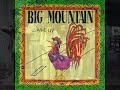 Big Mountain Reggae Inna Summertime 1992 mp3