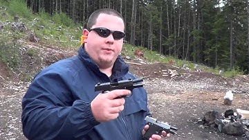 Sig P938 & P238 Dual Wield