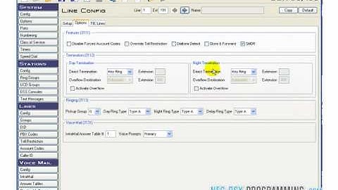 NEC DSX: Auto attendant 101 - Understanding Call Flow - www.NEC-DSX-Programming.com