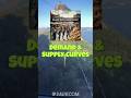 A-level Economics: quick guide to demand and supply curves #aleveleconomics #demandandsupply