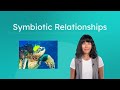 Symbiotic Relationships in Biology