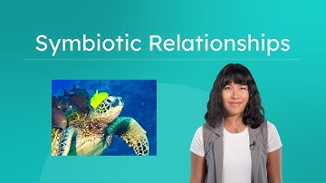 Symbiotic Relationships - Interactions Between Species