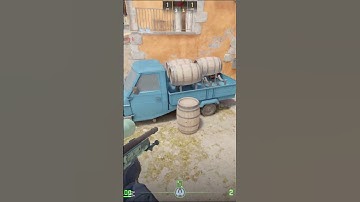 Scout Headshots ,They Didn