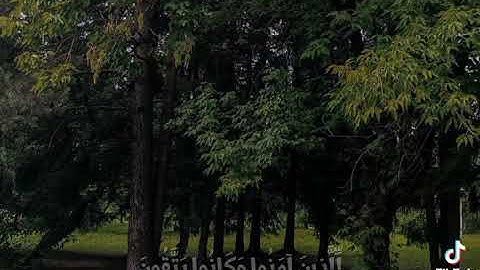 ما تيسر من سورة يوسف بصوت الشيخ محمود علي البنى