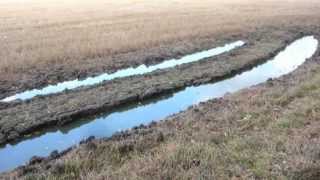 The importance of field drainage