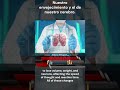 Nuestro envejecimiento y el de nuestro cerebro