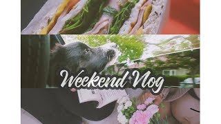 [Florence.Edition] Weekend Vlog/做早餐/Shopping/帮朋友拍孕照/陪狗狗去海边游泳