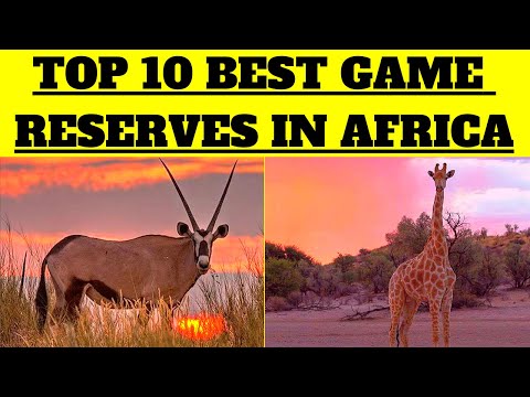 Video: 12 bästa spelreserven i Afrika