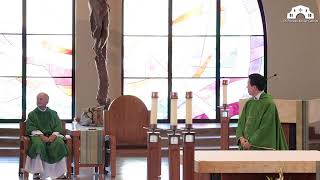 Fifteenth Sunday in Ordinary Time