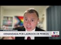 Demanda por ladridos de perros: ley de California protege a vecinos frente a ruidos molestos