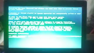 Baby Shark Get A Bsod Has Rsod