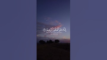 تلاوة هدئة🤍🍃|أكتب شيء تؤجر عليه 🌷🤍 #اكسبلور #اكتب_شي_تؤجر_عليه #المصحف #قران_كريم #ماهر_المعيقلي
