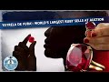 Estrela De Fura World S Largest Ruby Sells At Auction DT Next Estrela De Fura World S Largest Ruby Sells At Auction DT Next