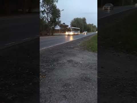 автобус || Тобольск