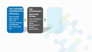 Huthwaite Case Study - Supporting a Sales Transformation