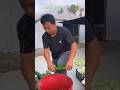 How to Golden mishri farming (#35) 🧺🐓 #shorts #shortsfeed #shortsvideo #viralvideo