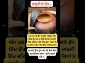 ਕਾੜਨੀ ਵਿੱਚ ਦੁੱਧ ਅੱਜ ਵੀ ਕਿਸ-ਕਿਸ ਘਰ ਰੱਖਿਆ ਜਾਂਦਾ? #motivation #village #villagelife #news #oldpunjab