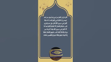 تتمة سورة البقرة #القران_الكريم