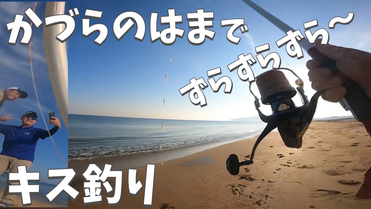 Enjoying catching multiple Japanese whiting at once! A