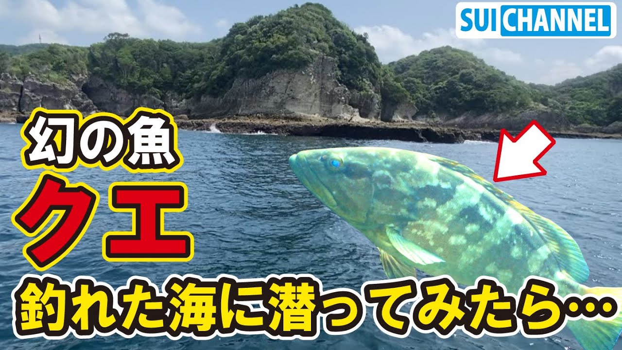 クエが釣れた海底はどうなっている！？実際に潜って探してみたら…