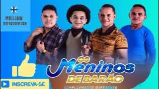 OS MENINOS DE BARÃO  / SIMPLESMENTE DIFERENTE