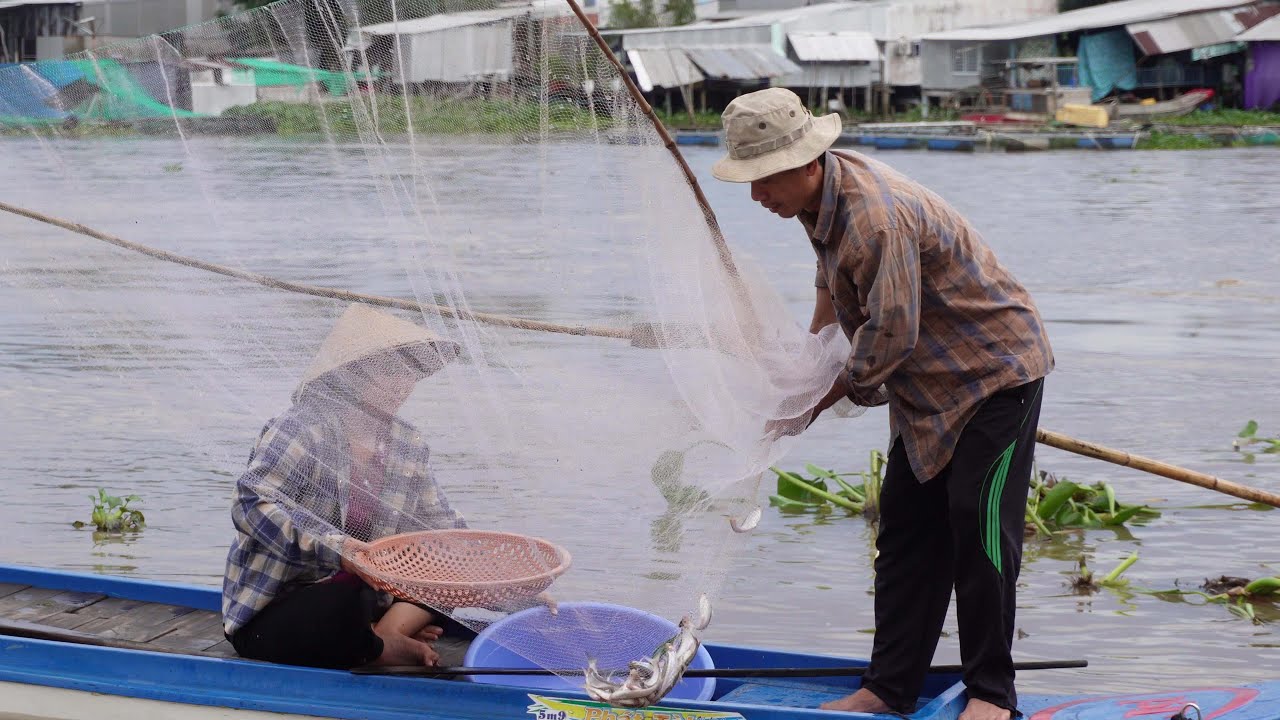 Hai Anh Em Ra Sông Theo Bè Xúc Cá Dính Cá Tôm Thấy Ham | HQ #1733