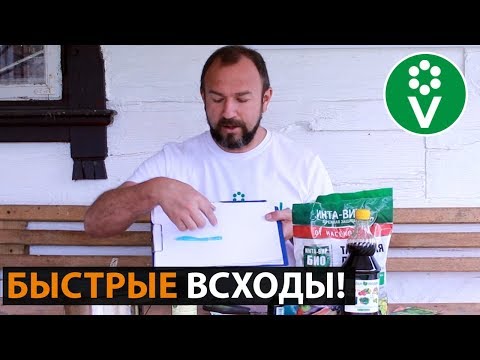 ХИТРЫЙ СПОСОБ посева моркови! Забудьте о прореживании, болезнях и вредителях!