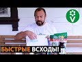 ХИТРЫЙ СПОСОБ посева моркови! Забудьте о прореживании, болезнях и вредителях!