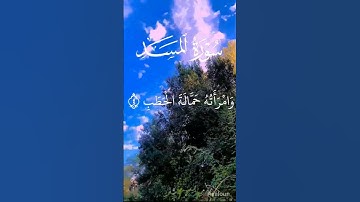 سورة المسد بصوت القارئ الشيخ عبدالرحمن السديس