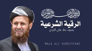 Download Lagu Mala Ali Kurdi Rukye - İslami Rukye - Şifa Ayetleri - Kuran Şifa MP3