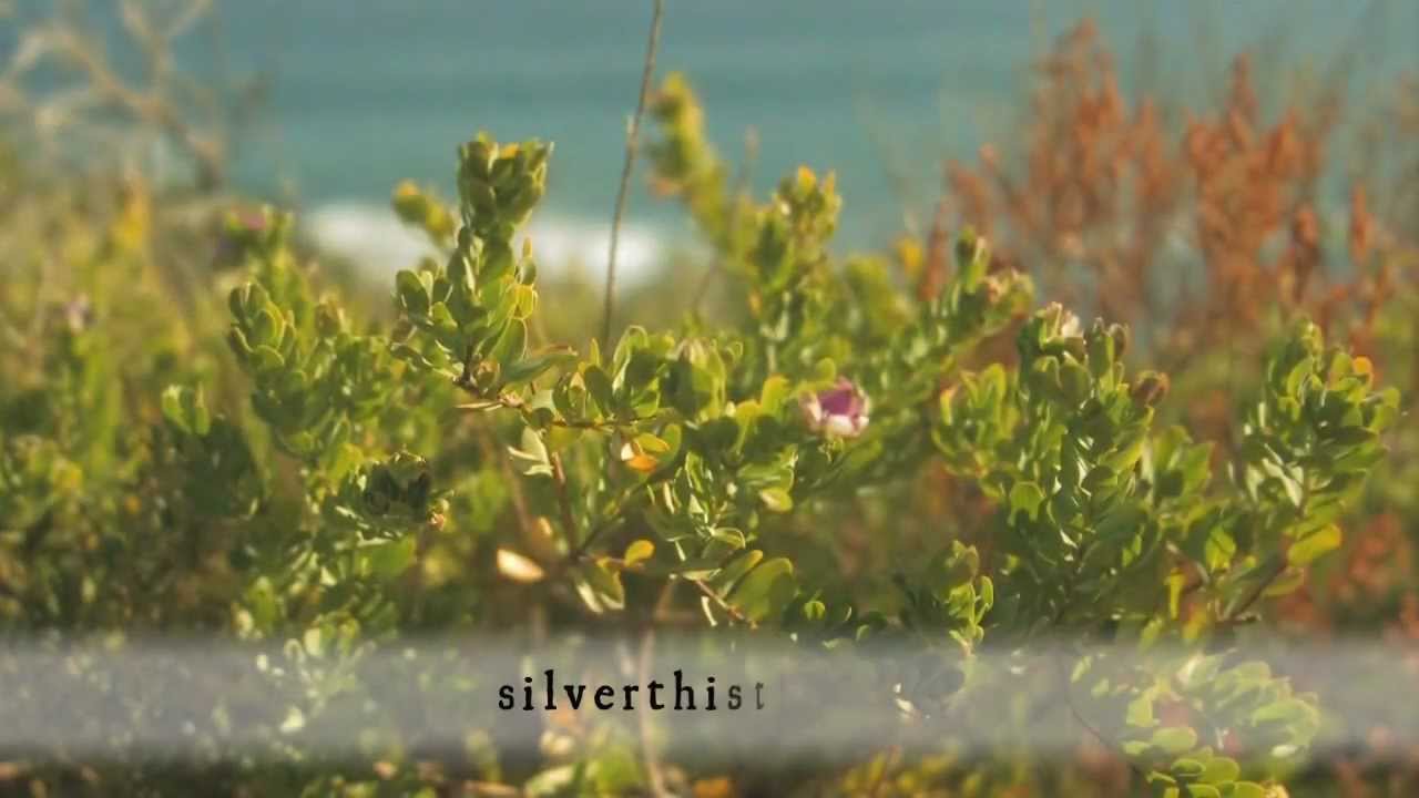 Silver Thistle, affordable, beautiful web videos.