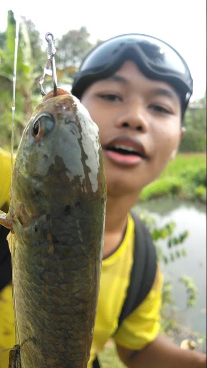 pemancing Lebay||story wa bucin||quest berkelas||mengikhlaskan||viral🥀🔥💔🐟