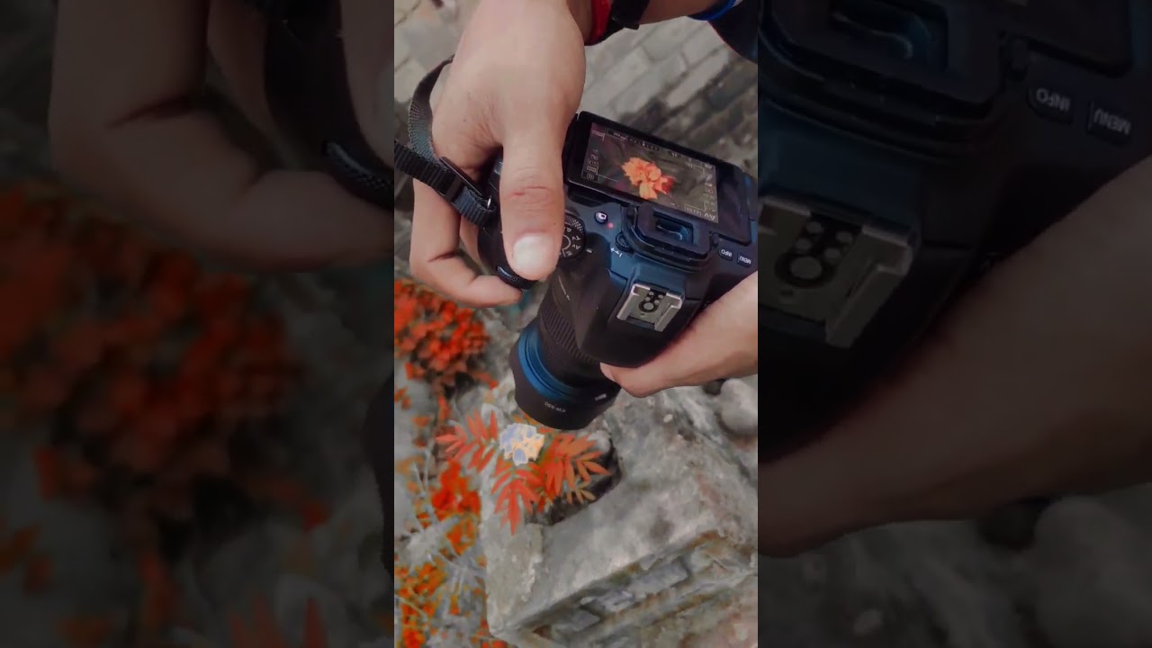 Canon camera best photography Live photoshoot #shorts #viral #trending #photography #camera