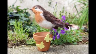 Making a Needle Felted Robin from Start to Finish