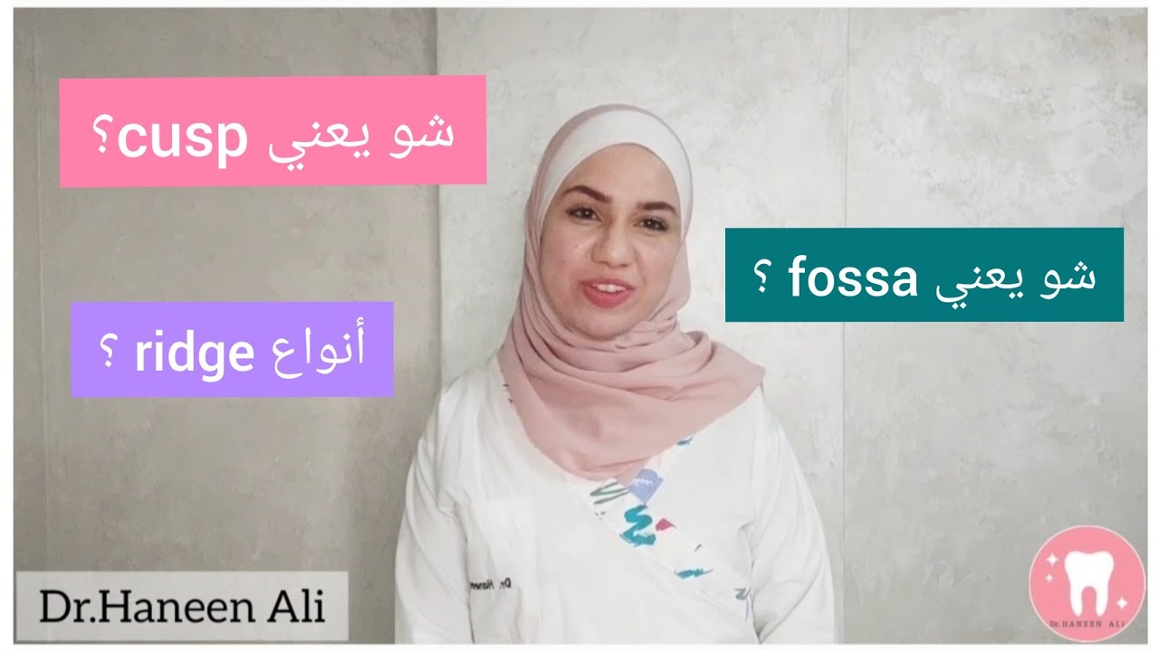 مصطلحات مهمة في دنتال اناتومي / مورفولوجي |dental anatomy @dr.haneenali1574