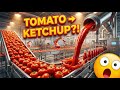 Inside Kissan Tomato Ketchup Factory | How Kissan Tomato Ketchup Is Made | Full Factory Process