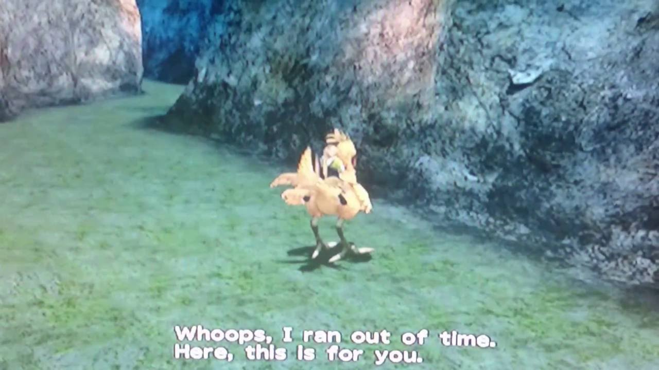 FFX Catcher Chocobo bug?