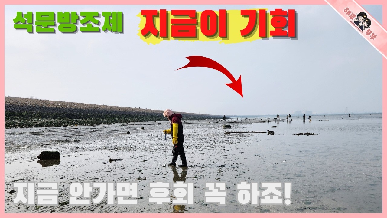 석문방조제 지금 안가면 정말 후회하는 이유가 무엇인가요!!?